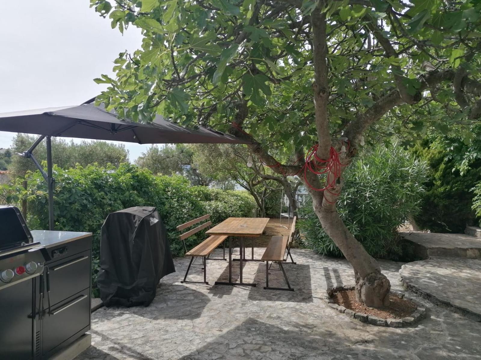 Apartments Villa Julia 特罗吉尔 外观 照片